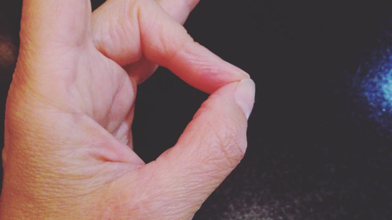 45596968_10156752737438728_5080212193882931200_o