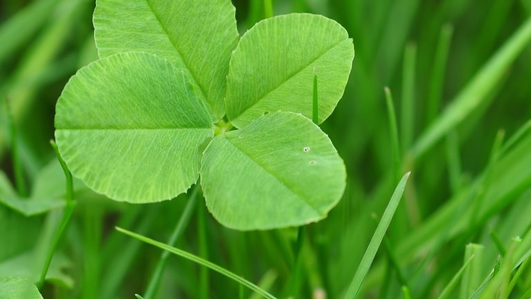 71569E9E-2C04-43B4-9372-F8A856BBF0B8