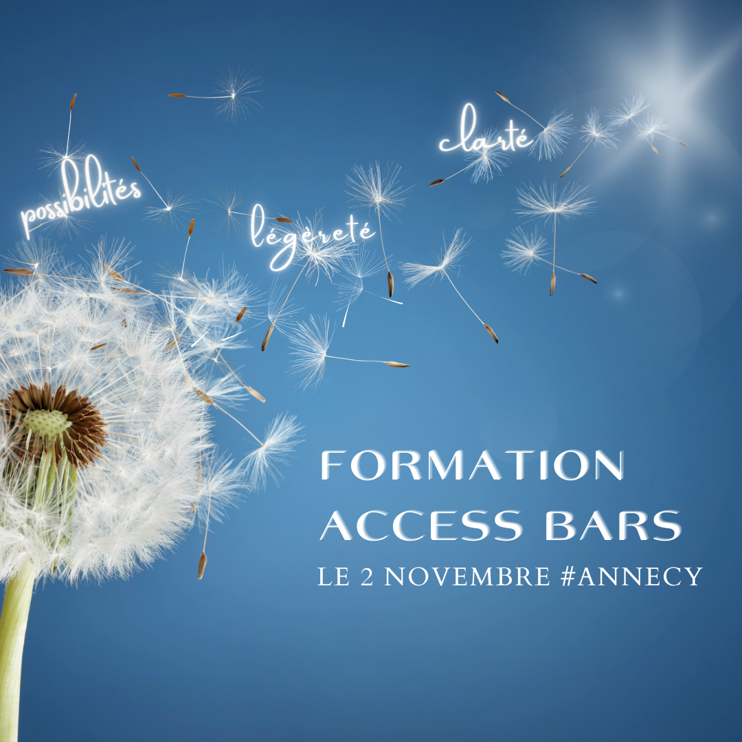 Protégé : FORMATION ACCESS BARS LE 2 NOVEMBRE (Annecy)